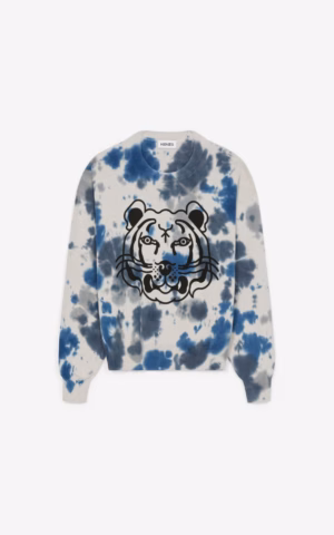 6e377364e5b8f1ecd507e5e2d63a3a339d12af7a90f4afbbcc4ae00eb62d50fe