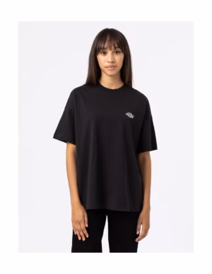 dickies-summerdale-ss-tee-black-dk0a4y1bblk1 (1)