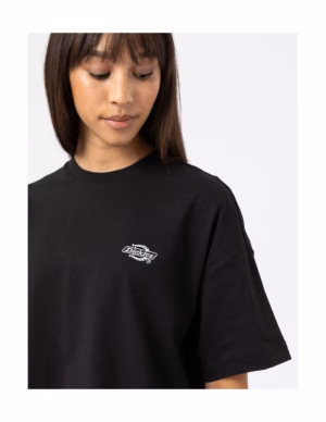 dickies-summerdale-ss-tee-black-dk0a4y1bblk1 (4)